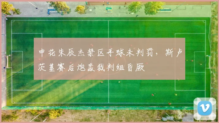 申花朱辰杰禁区手球未判罚，斯卢茨基赛后炮轰裁判组昏厥